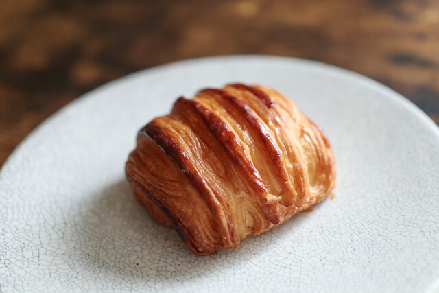 baguette rabbit photo 2