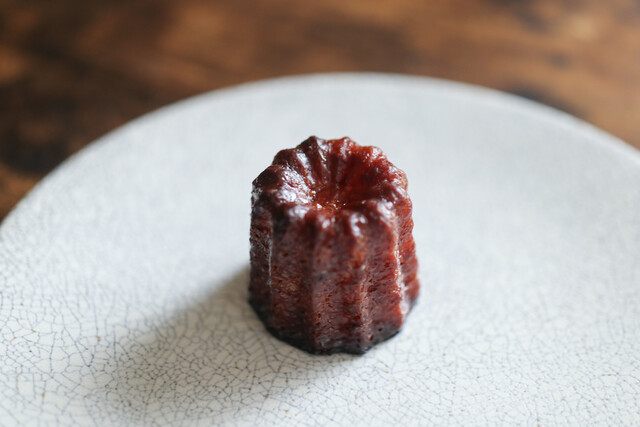 baguette rabbit photo 3