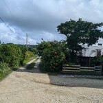 くじらカフェ - 