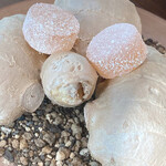 CYCLE by Mauro Colagreco - 生姜のパートドフリィ