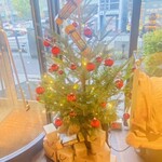 ル・ショコラ・アラン・デュカス - ツリーはシンプル