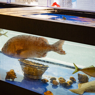 漁港から直送！獲れたてピチピチの鮮魚を