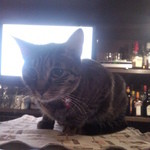 気ままなイタリアン チャーリー - チャーリー