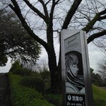 かぐや岩本山cafe - 