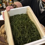 ニライカナイ - 