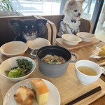 cafe dining TAMAKIYA - 