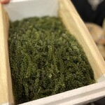 ニライカナイ - 