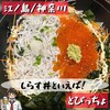 とびっちょ 本店