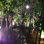 グリーンハウスシルバ - 