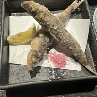 KINKA sushi bar izakaya 渋谷 - 