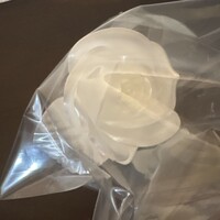 カンテサンス - 