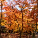 クレソン リバーサイド ストーリー 旧軽井沢 - 