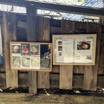 山辺の道 花もり - 