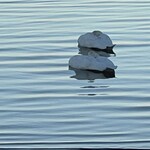 サロマ湖鶴雅リゾート - 