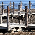 サロマ湖鶴雅リゾート - 