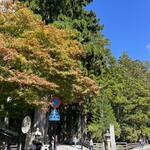 一の橋 天風 - 紅葉