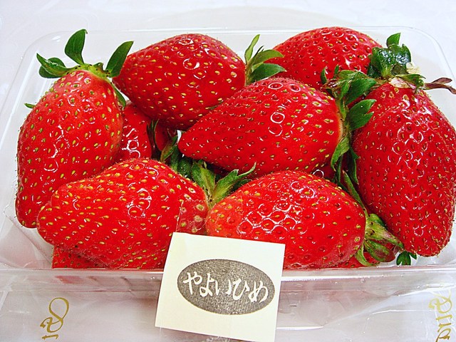 石井農園 Erdbeere イシイノウジョウ エーアトベーレ 西船橋 その他 食べログ