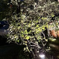 一心鮨 光洋 - 