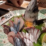 ろばた仁 - 関サバのお造り…予約だったのでボードには載っていなくて隣の席の方か羨ましそうに見ていました(笑)