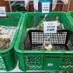 久安 - 2回目訪問時