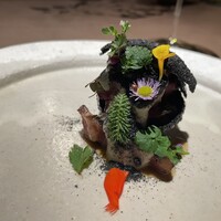 nôtori - 