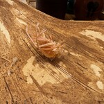 天ぷら小泉 たかの - 