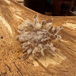 天ぷら小泉 たかの - 