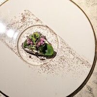 Maison B - 