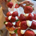 FRUIT 御堂筋店 - 