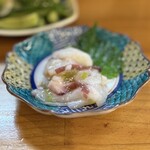 大衆酒場 坂本商店 - 水だこ茎わさび