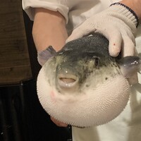 ふぐ御料理處 でん - 