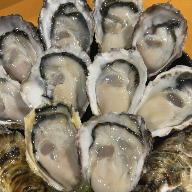 3日以内に発送します ☆ 焼き鳥台☆海鮮魚介☆牡蠣小屋