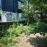 Rojiura Curry SAMURAI. - 