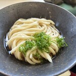 山下本気うどん - 2024/11/15 ランチで利用。本気満腹セット(1,350円)