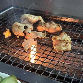 とんちゃんや ふじ_0