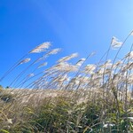 森のオーベルジュ 星咲 - 