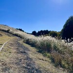 森のオーベルジュ 星咲 - 