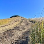 森のオーベルジュ 星咲 - 