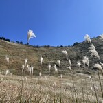 森のオーベルジュ 星咲 - 