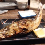 囲炉裏のおっきゃがり 活魚煙舎 - 