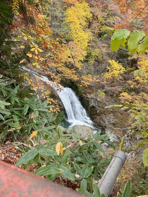 大滝ドライブイン 泉や（いずみや） - 東根市その他（食堂）の写真