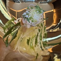 SALONE TOKYO - 