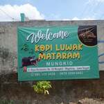 Mataram Loewak Coffee - 