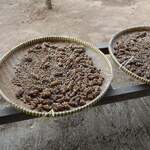 Mataram Loewak Coffee - 