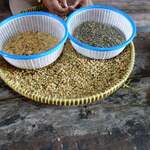 Mataram Loewak Coffee - 