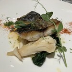 トラットリア トペ - 