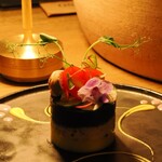 Alan. - カウサレジェーナ