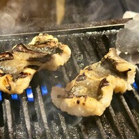 焼うお いし川 - 