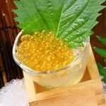 牛タンと海鮮 個室居酒屋 炭松 - 期間＆数量限定　川魚【あまごの黄金幾らの醤油漬け】