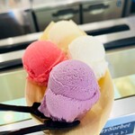 桜山ジェラートLoop - たこやきレインボーミニ4個入